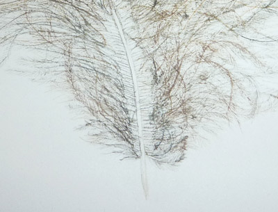 DETAIL-DUVET.jpg