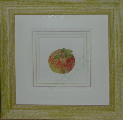 pomme.jpg
